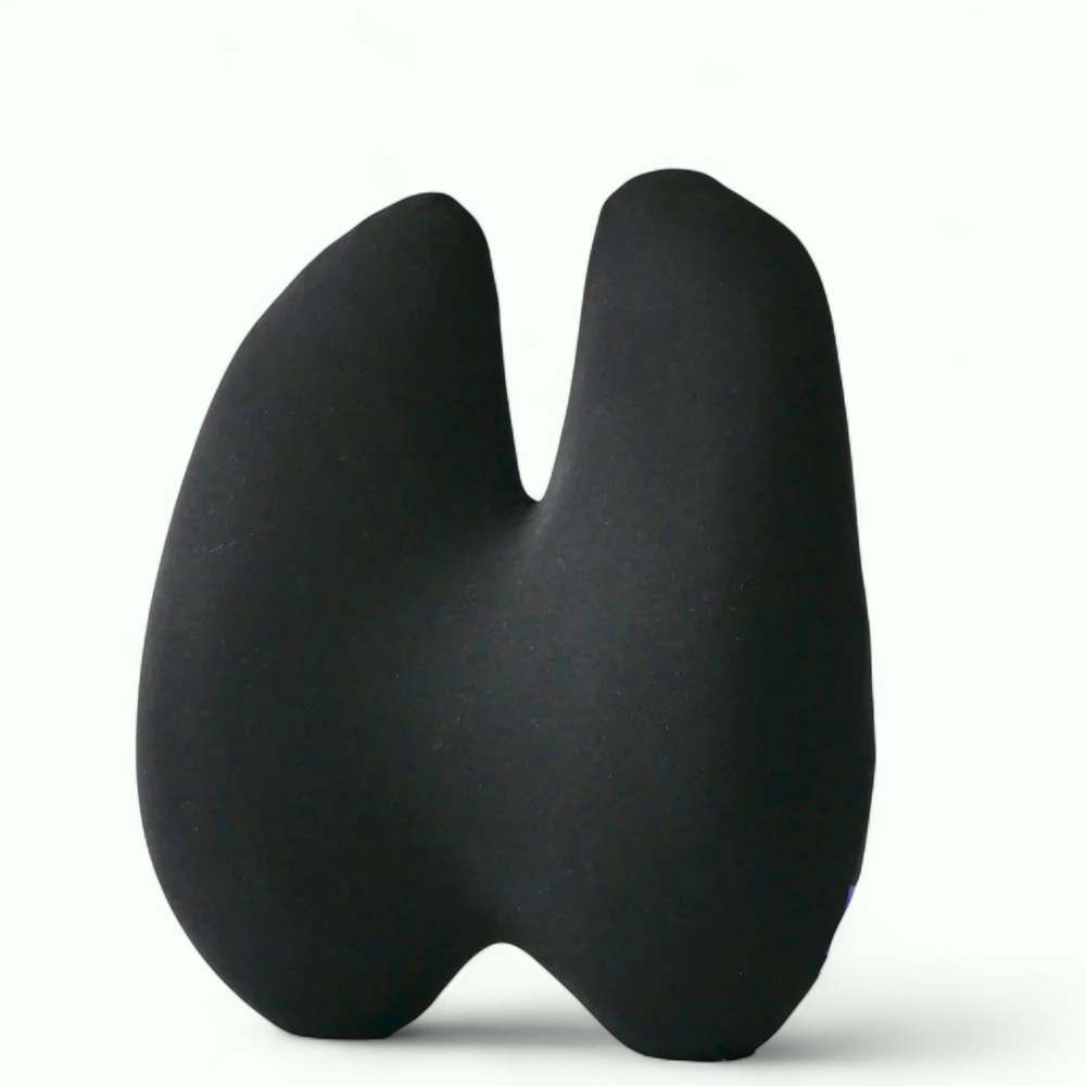 Cushty Lumbar Support Cushion